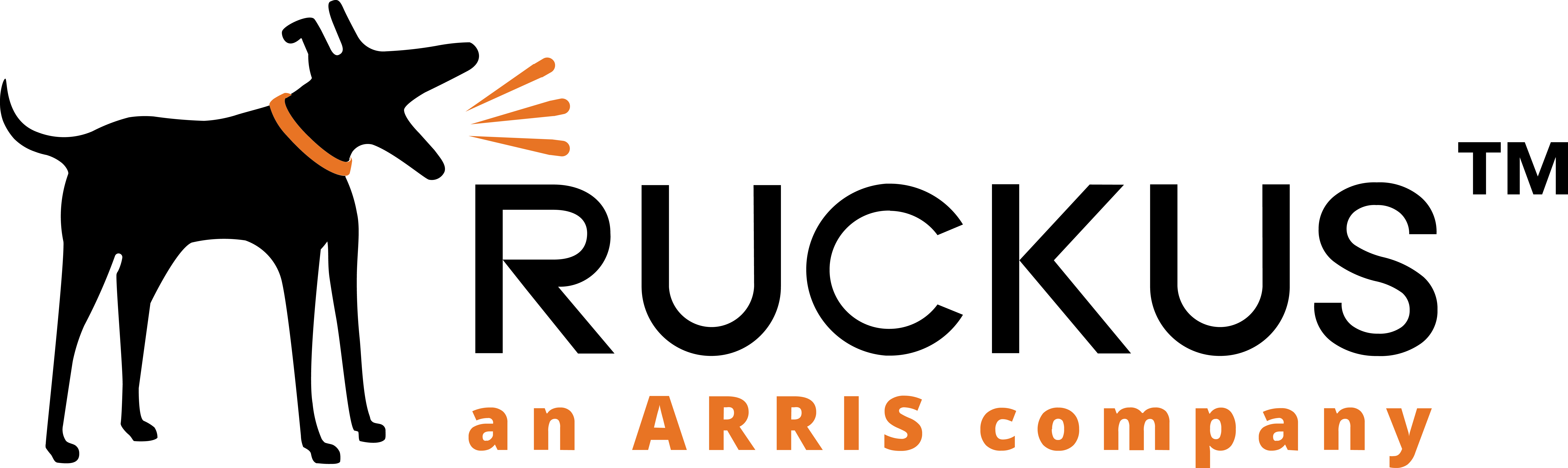 Ruckus_Logo_Black_transp