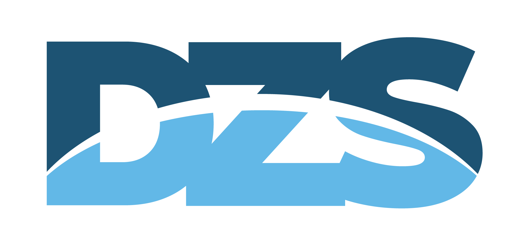 DZS-_Logo-RGB
